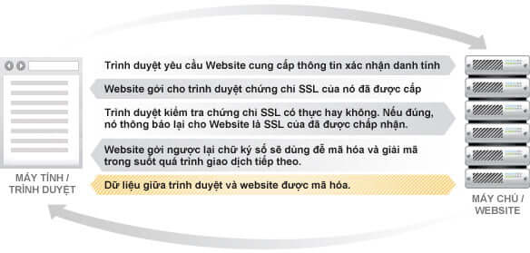 Giao thức bảo mật – SSL