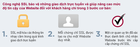 SSL bảo vệ những giao dịch trực tuyến và nâng cao độ uy tín của website 